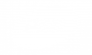 AVC Disk white
